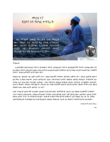 Principle Seventeen.pdf